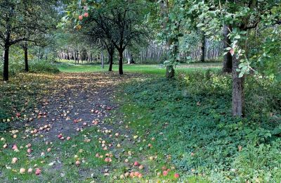 Burg erwerben Mecklenburg-Vorpommern, Foto 69/96