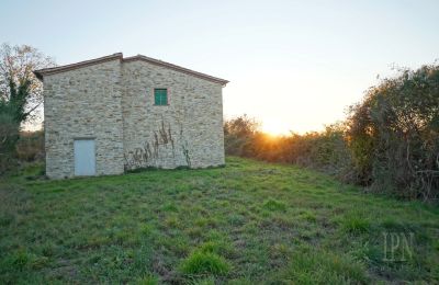 Landhaus erwerben Italien, Foto 14/26