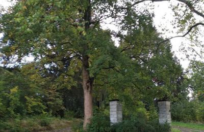 Schloss erwerben Kostrzyna, Kostrzyna 38, Niederschlesien, Foto 12/19