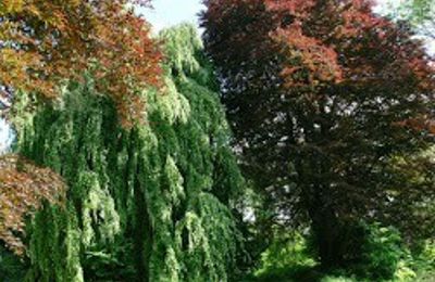 Schloss erwerben Kostrzyna, Kostrzyna 38, Niederschlesien, Foto 16/19