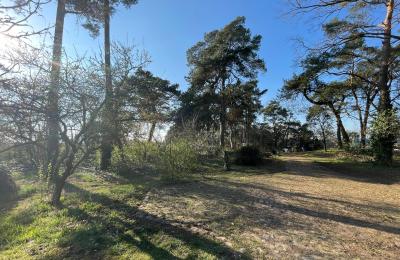 Landhaus erwerben 17375 Leopoldshagen, Mecklenburg-Vorpommern, Blick in die Einfahrt
