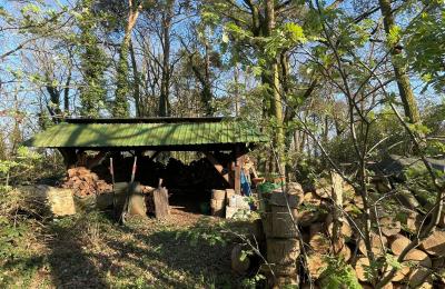 Landhaus erwerben 17375 Leopoldshagen, Mecklenburg-Vorpommern, Brennholzlager