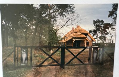 Landhaus erwerben 17375 Leopoldshagen, Mecklenburg-Vorpommern, Foto 40/50