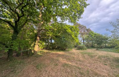 Landhaus erwerben 17375 Leopoldshagen, Mecklenburg-Vorpommern, Gartenblick