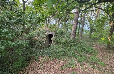 Landhaus erwerben 17375 Leopoldshagen, Mecklenburg-Vorpommern, Erdbunker