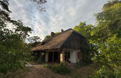 Landhaus erwerben 17375 Leopoldshagen, Mecklenburg-Vorpommern, Abendstimmung