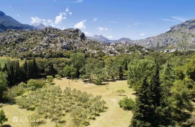 Herrenhaus/Gutshaus erwerben Escorca, Balearische Inseln, finca-escorca-40