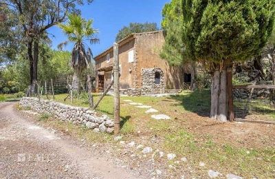 Herrenhaus/Gutshaus erwerben Escorca, Balearische Inseln, finca-escorca-29