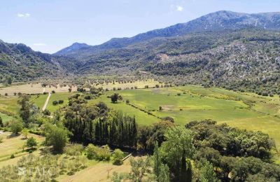 Herrenhaus/Gutshaus erwerben Escorca, Balearische Inseln, finca-escorca-39