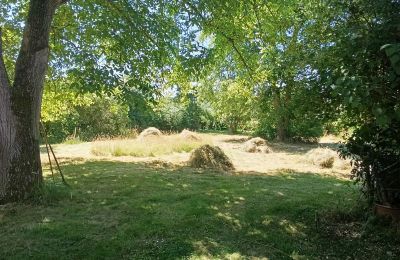 Landhaus erwerben Deutschland, Foto 11/32