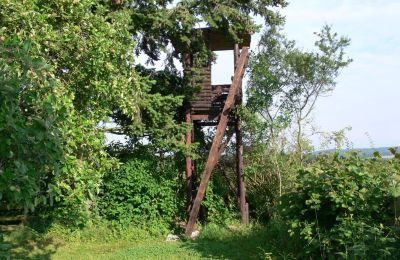 Landhaus erwerben Deutschland, Foto 15/32