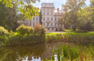 Castello in vendita Malina , Łódź, Foto 4/32