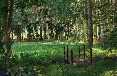 Herrenhaus/Gutshaus erwerben Stary Dzierzgoń, Pommern, Foto 34/39