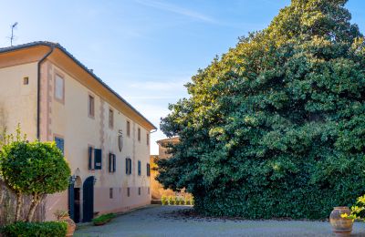 Historische Villa erwerben Crespina, Toskana, Foto 33/38