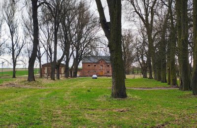 Herrenhaus/Gutshaus erwerben Raszków, Heiligkreuz, Foto 12/16