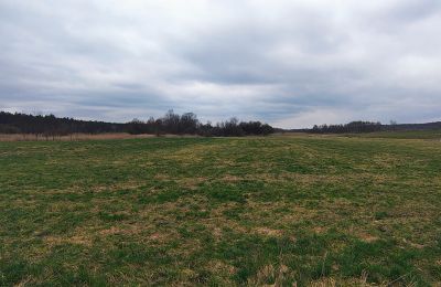 Herrenhaus/Gutshaus erwerben Raszków, Heiligkreuz, Foto 16/16