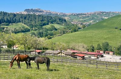 Casa di campagna in vendita Fermo, Marche, Foto 76/81