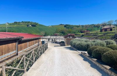Casa di campagna in vendita Fermo, Marche, Foto 79/81
