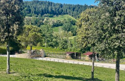 Casa di campagna in vendita Fermo, Marche, Foto 80/81