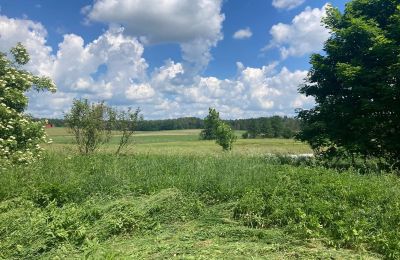 Casa di campagna in vendita Bądze, Varmia-Masuria, Foto 6/8