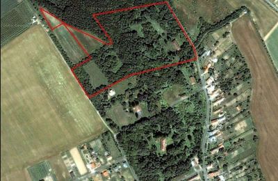 Villa padronale in vendita Tömörd, Fő utca 11, Contea di Vas, Proprietà