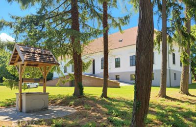 Villa padronale in vendita Tömörd, Fő utca 11, Contea di Vas, Foto 5/21