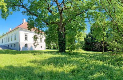 Villa padronale in vendita Tömörd, Fő utca 11, Contea di Vas, Parco
