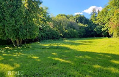 Villa padronale in vendita Tömörd, Fő utca 11, Contea di Vas, Parco