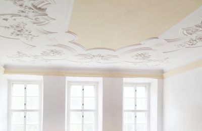 Schloss erwerben 04603 Nobitz, Thüringen, Foto 4/10