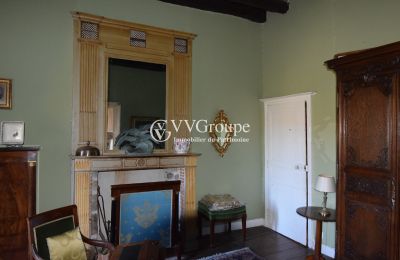 Castello medievale in vendita Nuova Aquitania, Foto 10/13