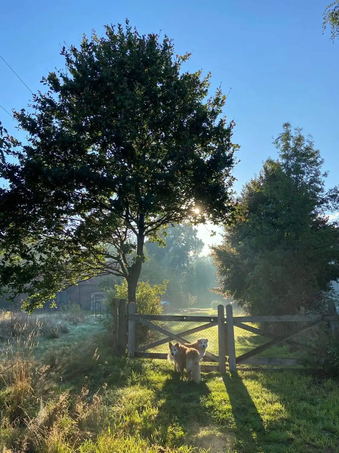 Immagini Antico complesso rurale nella zona di confine tra Polonia, Germania e Repubblica Ceca