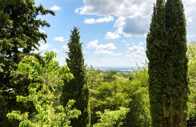 Villa padronale in vendita Limonest, Auvergne-Rhône-Alpes, Foto 6/10