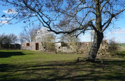 Herrenhaus/Gutshaus erwerben Brandenburg, Runine - ehem. Verwalterhaus