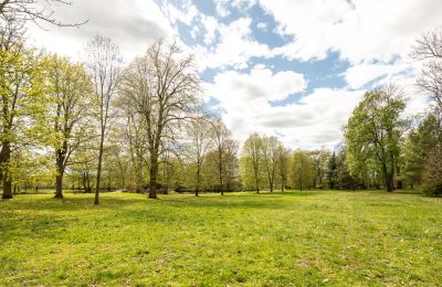 Manoir erwerben Strzegocin, Mazovie, Foto 26/42