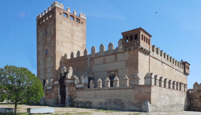 Château médiéval à vendre Narros de Saldueña, Castille-et-León