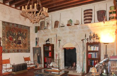 Burg erwerben Narros de Saldueña, Teniente Cecilio López 48, Kastilien und León, Foto 16/20