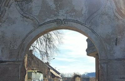 Schloss erwerben Ronov nad Doubravou, Moravany  1, okres Chrudim, Foto 2/17