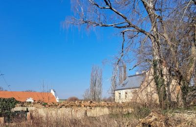 Schloss erwerben Ronov nad Doubravou, Moravany  1, okres Chrudim, Foto 16/17