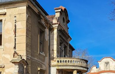 Schloss erwerben Ronov nad Doubravou, Moravany  1, okres Chrudim, Foto 6/17