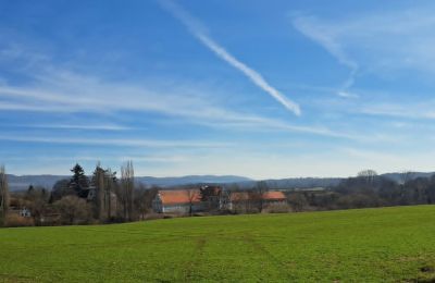 Schloss erwerben Ronov nad Doubravou, Moravany  1, okres Chrudim, Foto 17/17