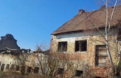 Schloss erwerben Ronov nad Doubravou, Moravany  1, okres Chrudim, Foto 15/17