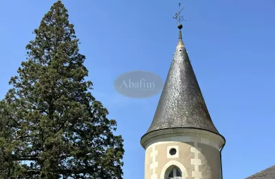 Château à vendre La Roche-Posay, Nouvelle-Aquitaine, Image 40/41