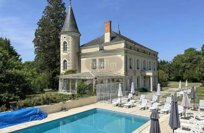 Château à vendre La Roche-Posay, Nouvelle-Aquitaine, Image 5/41