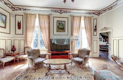 Château à vendre La Roche-Posay, Nouvelle-Aquitaine, Image 9/41
