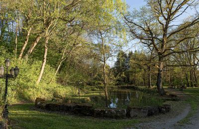 Schloss erwerben Baden-Württemberg, Teich