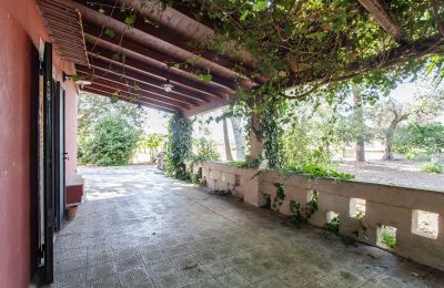 Casa di campagna in vendita Francavilla Fontana, Puglia, Foto 7/30