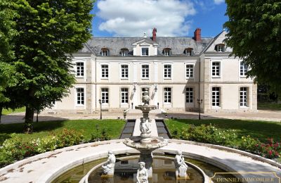 Schloss erwerben Provins, Île-de-France, Foto 1/19