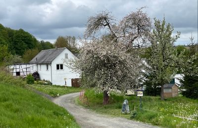Proprietà storica in vendita 07907 Schleiz, Turingia, Vialetto