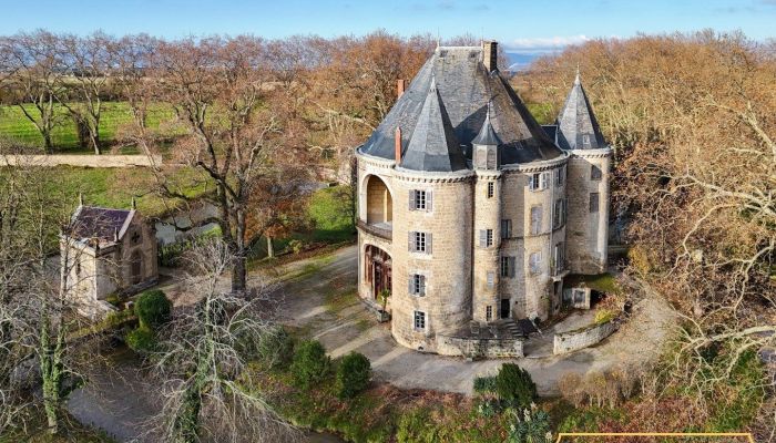Château médiéval à vendre Valence, Auvergne-Rhône-Alpes
