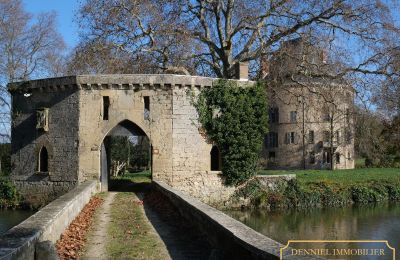 Burg erwerben Valence, Auvergne-Rhône-Alpes, Foto 3/28
